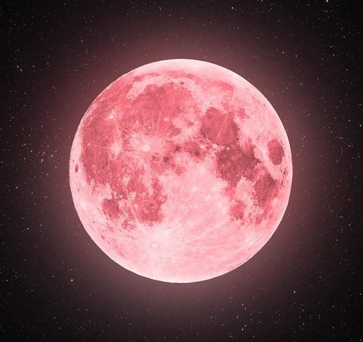 Midnight Pink